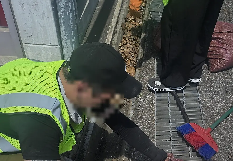 파주 공장 침수복구청소 유품정리·고독사 현장