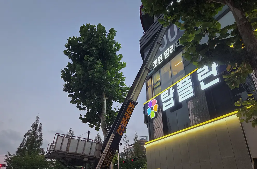 하남 다세대주택 특수청소 업체 악취 탈취·방역 소독